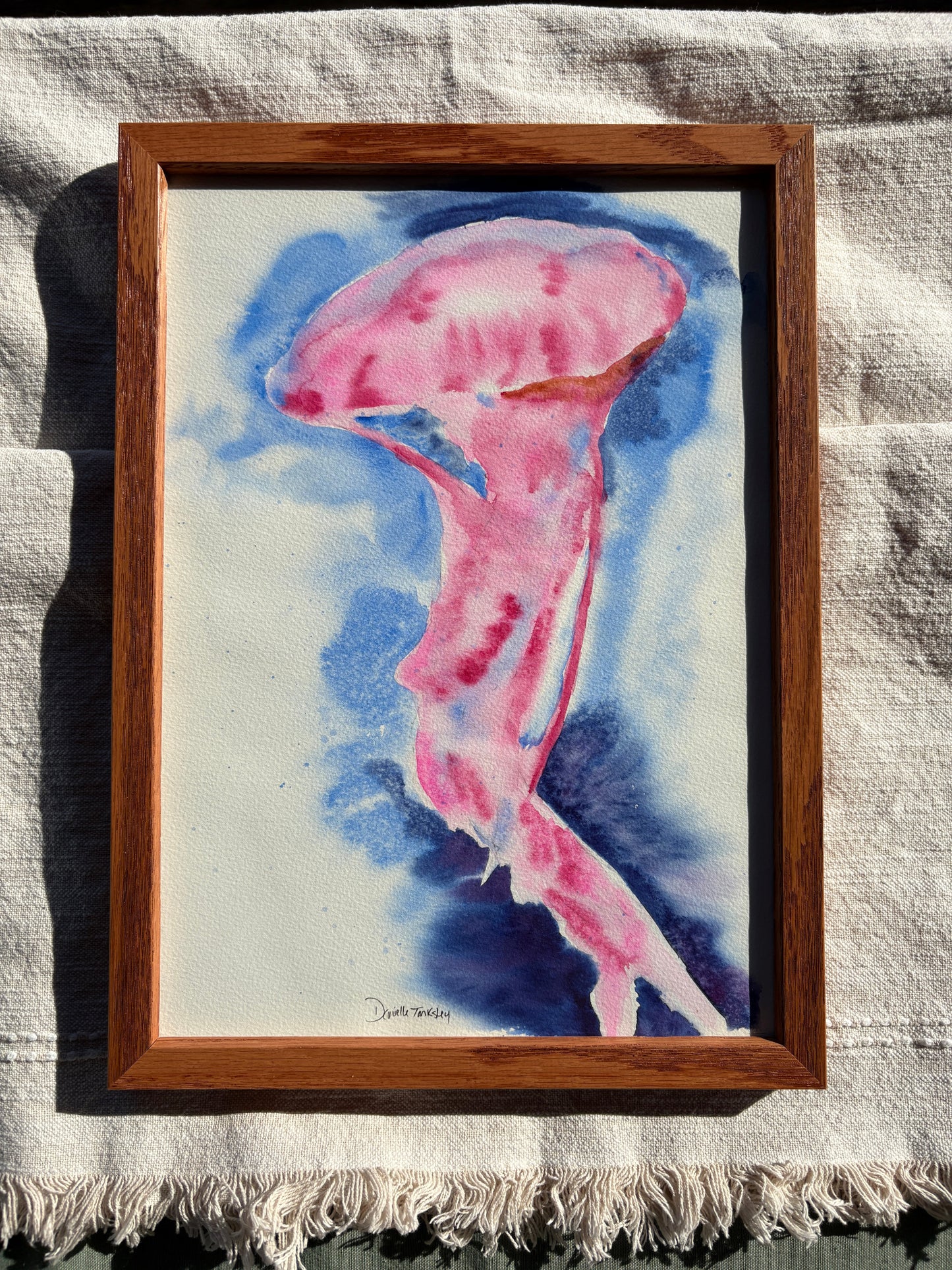 Jellyfish Original
