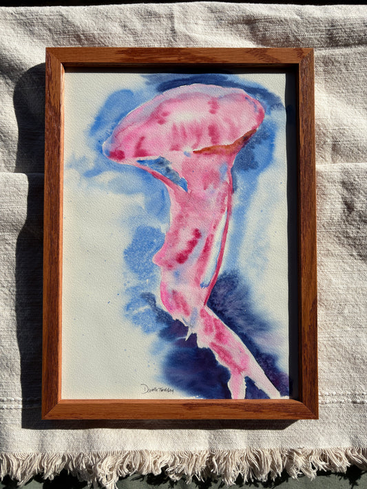 Jellyfish Original