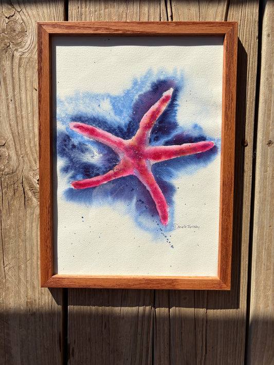 Starfish Original