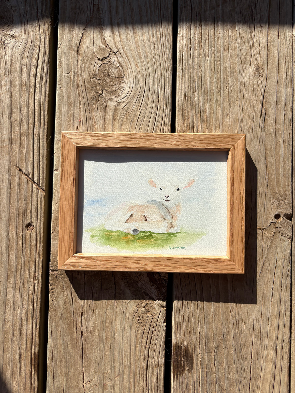 Lamb Watercolor
