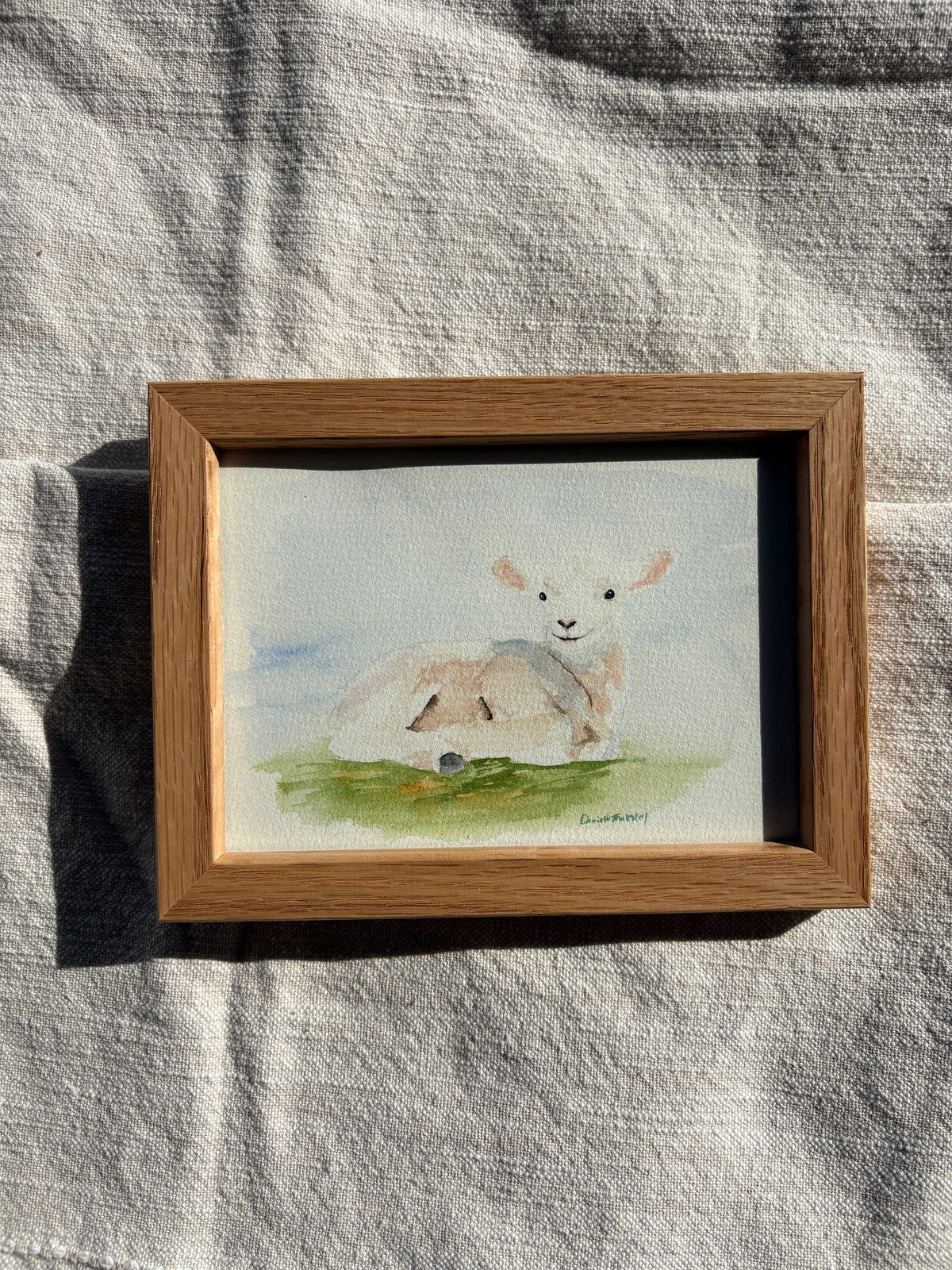 Lamb Watercolor