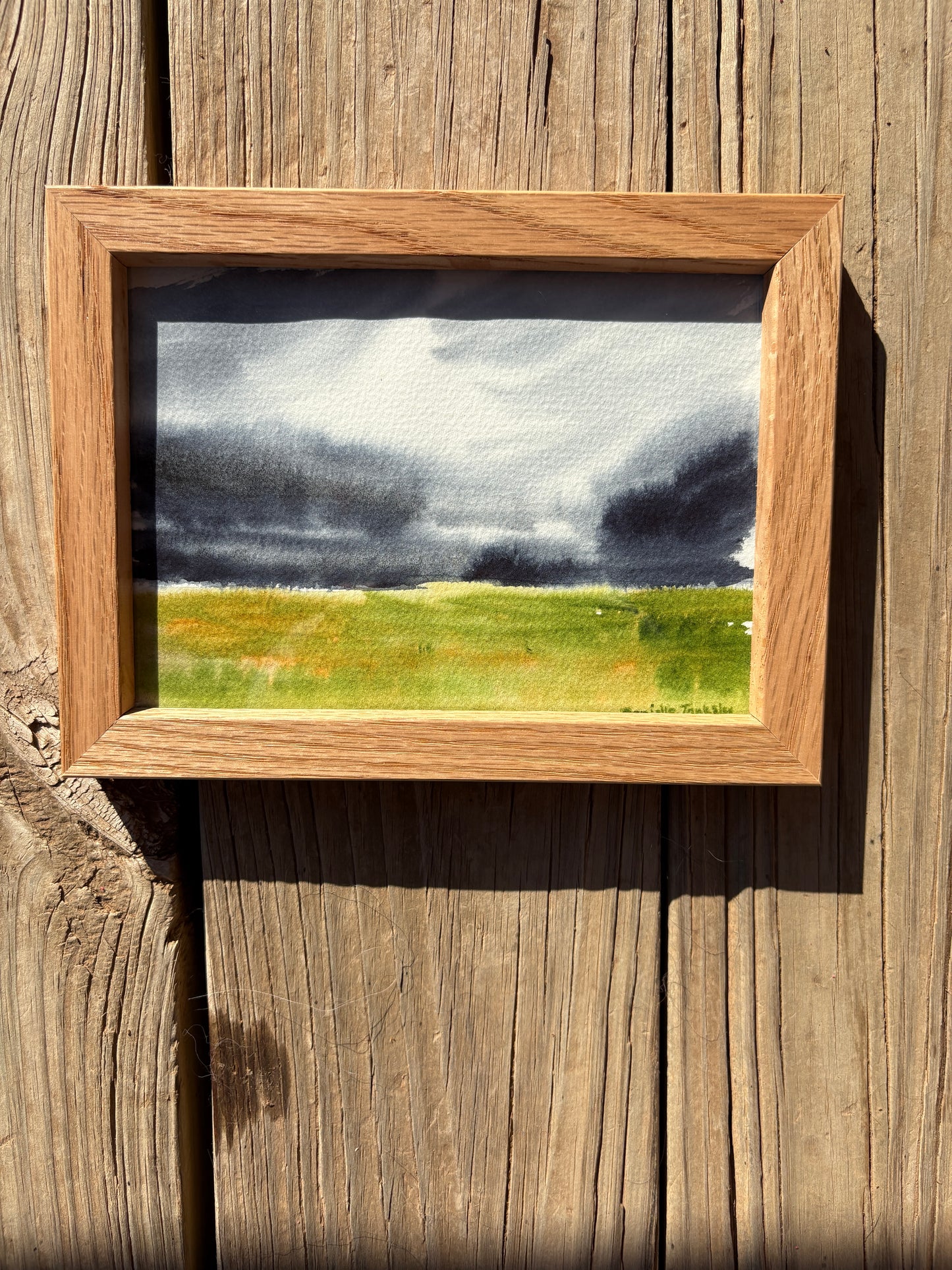 Stormy Prairie Landscape