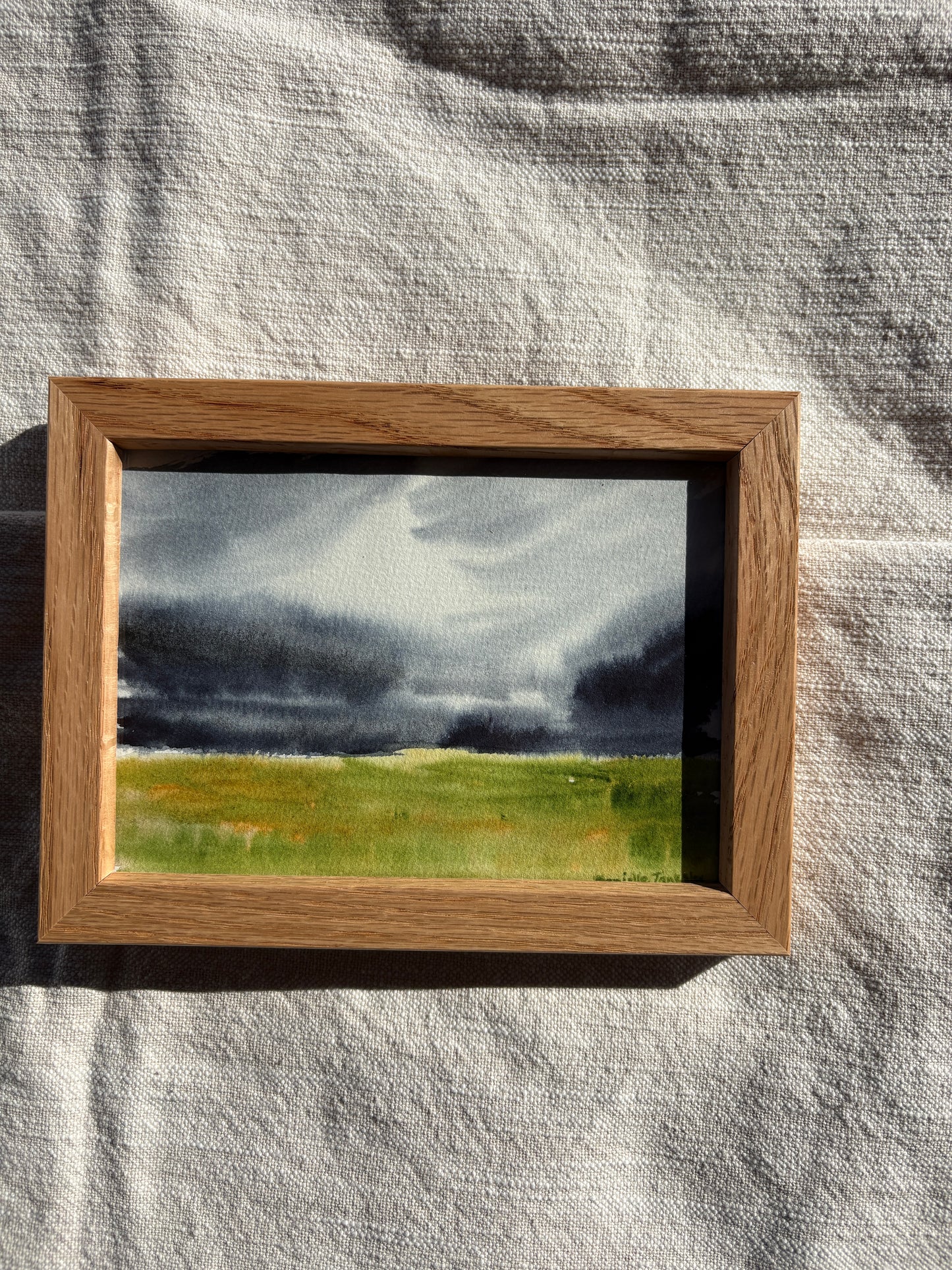 Stormy Prairie Landscape