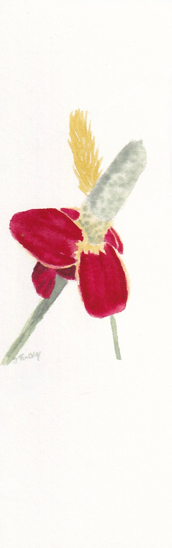 Mexican Hat Wildflower Bookmark
