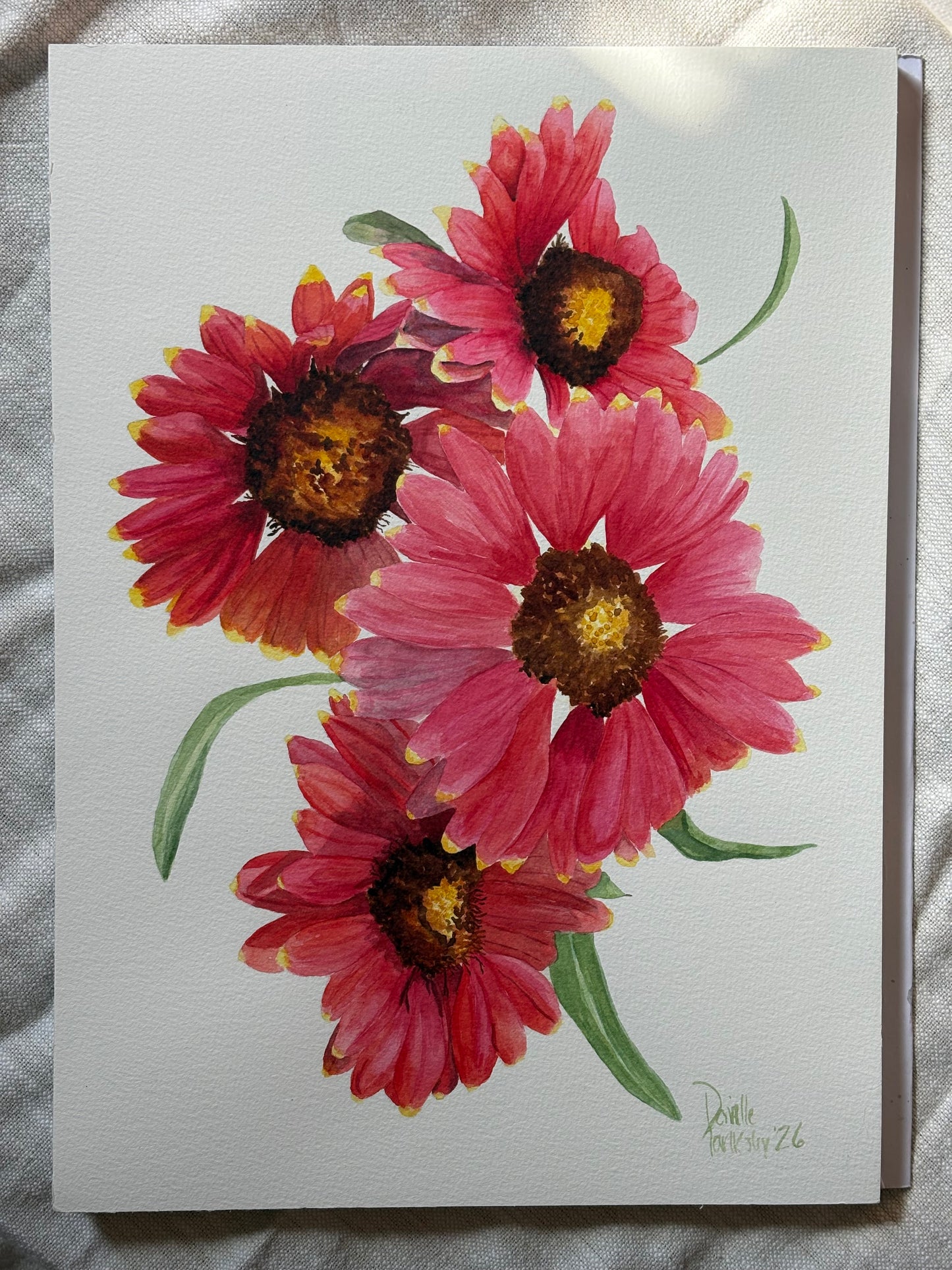 Indian Blanket Flowers