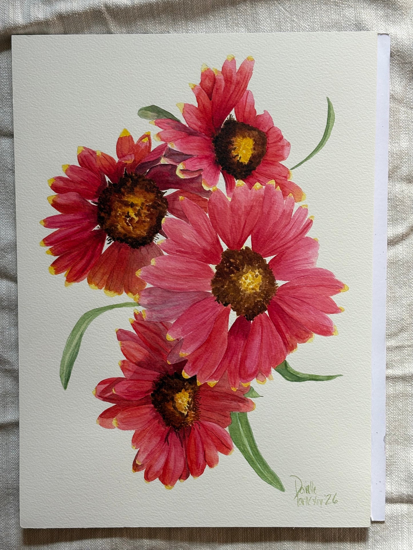 Indian Blanket Flowers