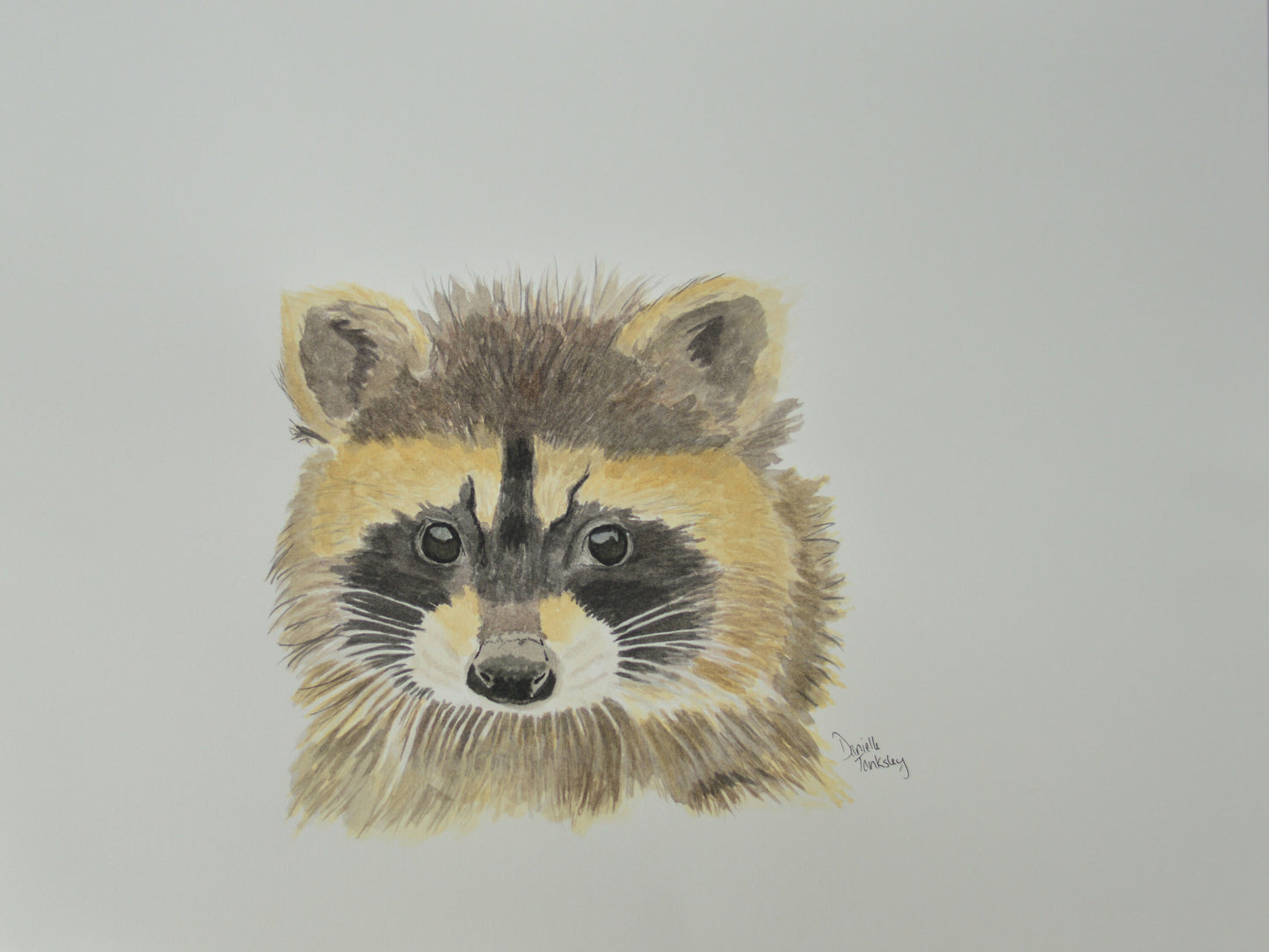 Raccoon Original Art