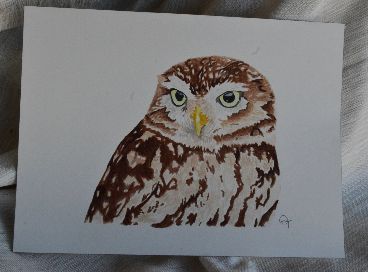 Burrowing Owl Original Watercolor